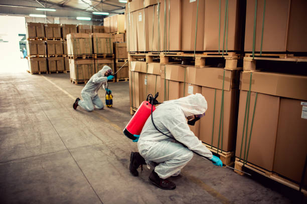 Best Best Pest Control Companies  in Estherville, IA