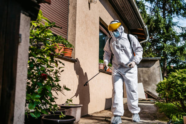 Best Pest Prevention Services  in Estherville, IA