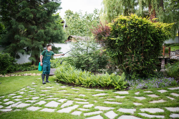 Best Pest Control for Homes  in Estherville, IA