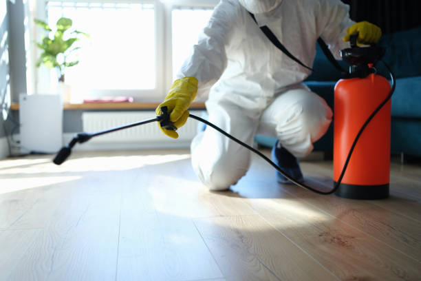 Best Local Pest Control Services  in Estherville, IA