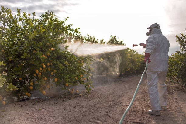 Best Exterminator Services  in Estherville, IA