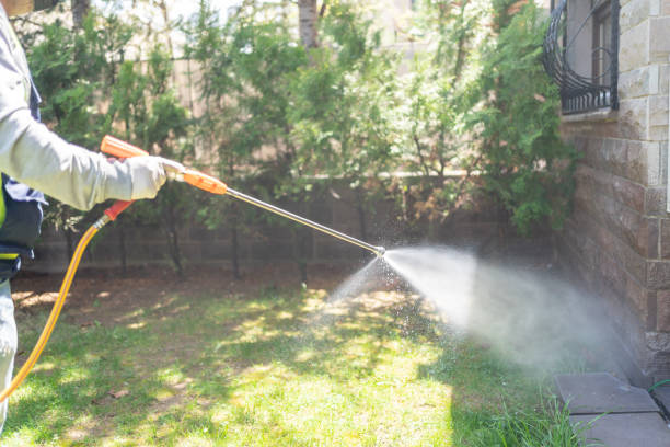 Best Termite Control Services  in Estherville, IA