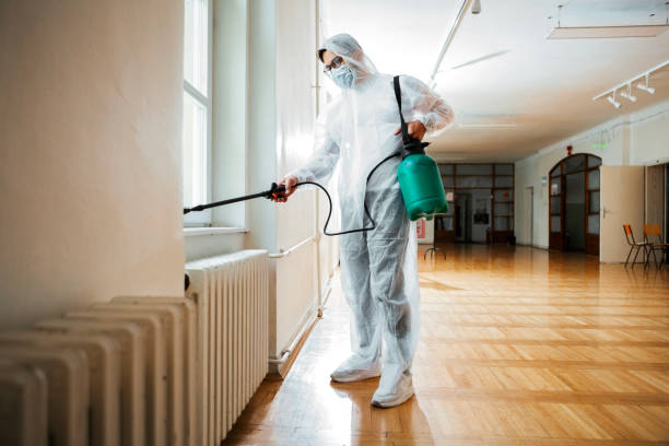 Best Rat Extermination Near Me  in Estherville, IA