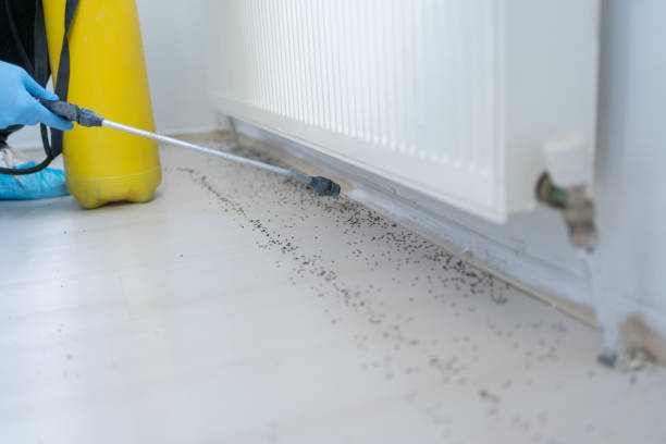 Best Wildlife Control Services  in Estherville, IA