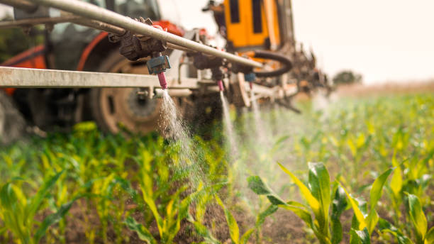 Reliable Estherville, IA Pest Control Solutions